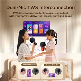 میکروفون اسپیکر جویروم Joyroom Microphone With Speaker JR-MC6