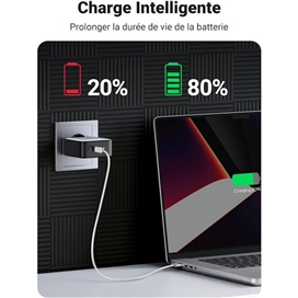 شارژر دیواری 100 وات با دو پورت USB-C یوگرین مدل CD254