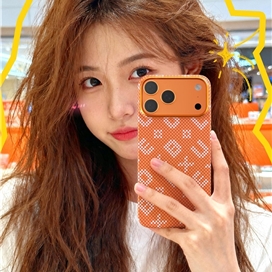 قاب Blueo بلو Gilded Tactile Woven Aramid Fiber Magnetic Case مناسب برای Apple iPhone 17 Pro