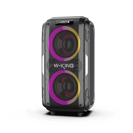اسپیکر بلوتوث دبلیو کینگ W-King T9 Pro توان 100 رم و فلش خور با 2 میکروفون