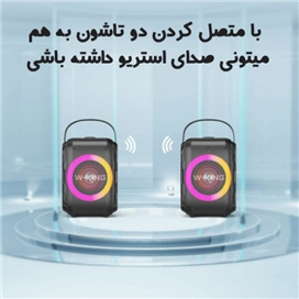 اسپیکر بلوتوث دبلیو کینگ W-King T9Mini توان 20 وات رم خور و فلش خور