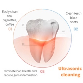 مسواک برقی شیائومی Xiaomi ShowSee D1 Sonic Electric Toothbrush